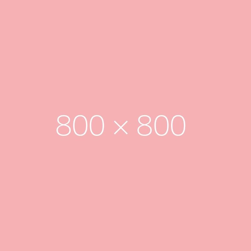 800 X 800