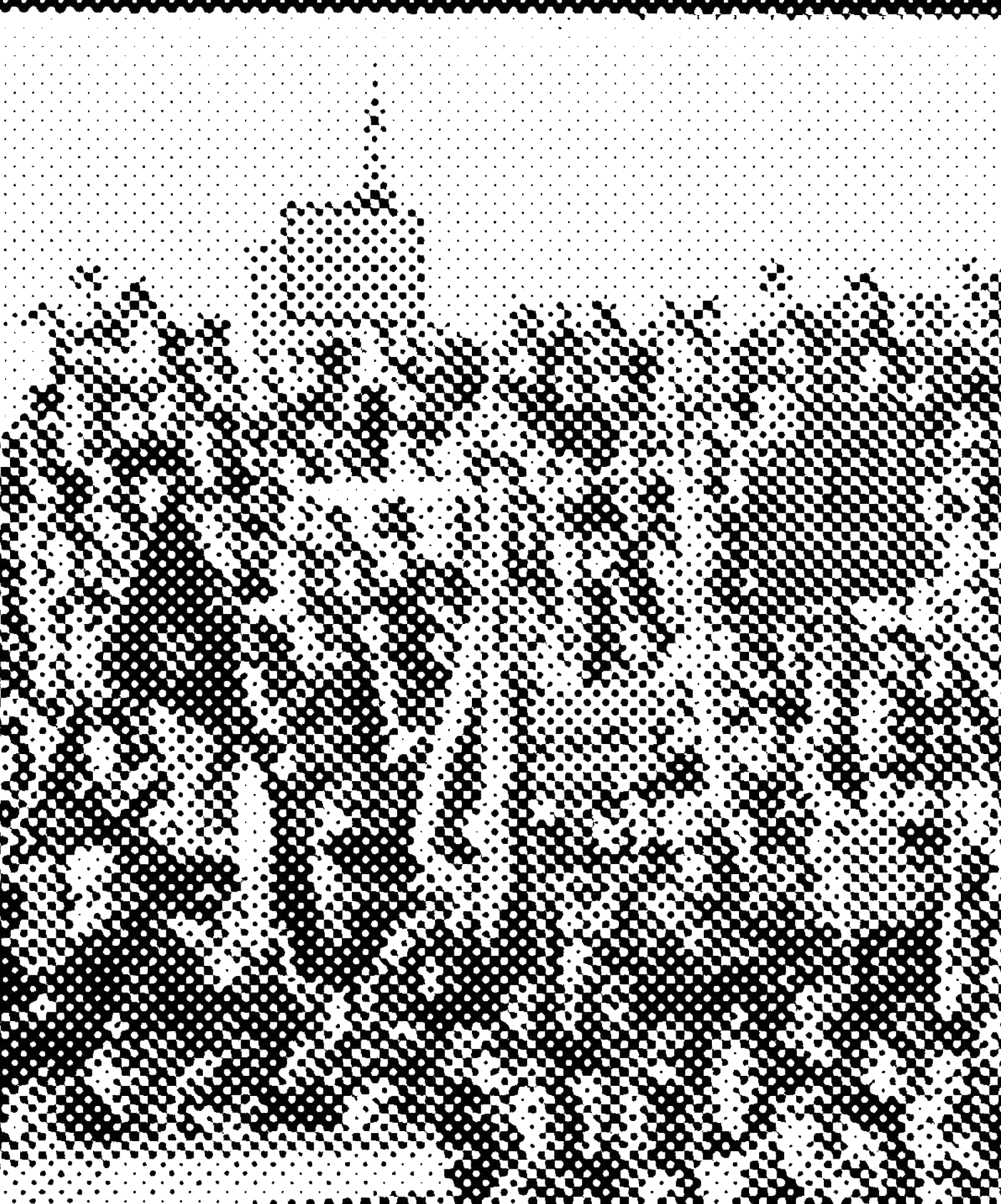 Foto: masa ljudi sa zastavama gleda ka posmatraču, crno belo, krupan raster